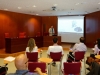 mini-2014 07 10 ICORD 0393 talk Vladimir